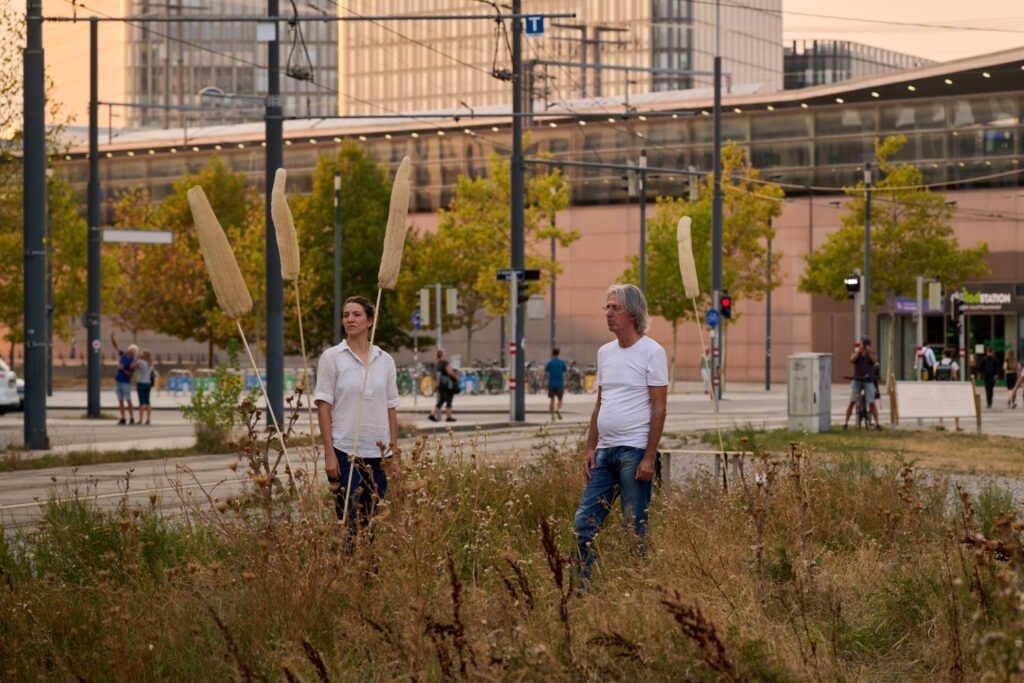 4_HL_Wasteland_1527_A3_print