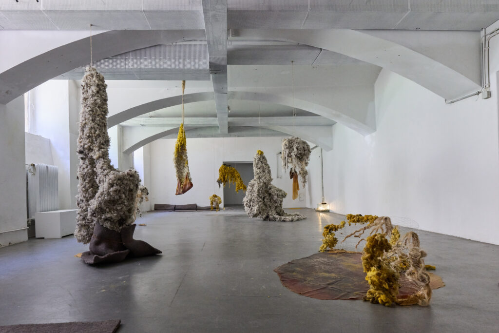 evocation of absent landscapes by claudia bosse, DAS WEISSE HAUS, 2026 – © markus gradwohl