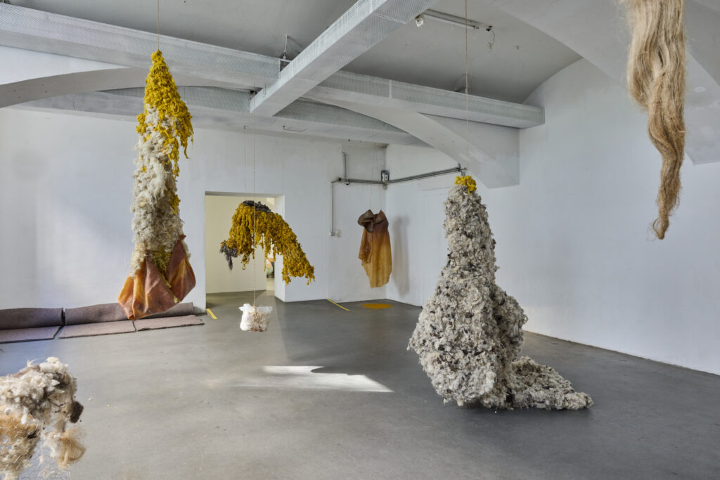 evocation of absent landscapes by claudia bosse, DAS WEISSE HAUS, 2026 – © markus gradwohl