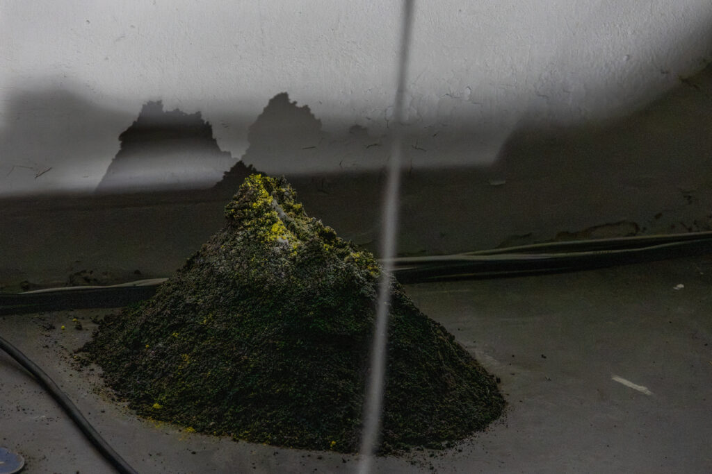 evocation of absent landscapes by claudia bosse, DAS WEISSE HAUS, 2026 – (c) lea-maraike sambale