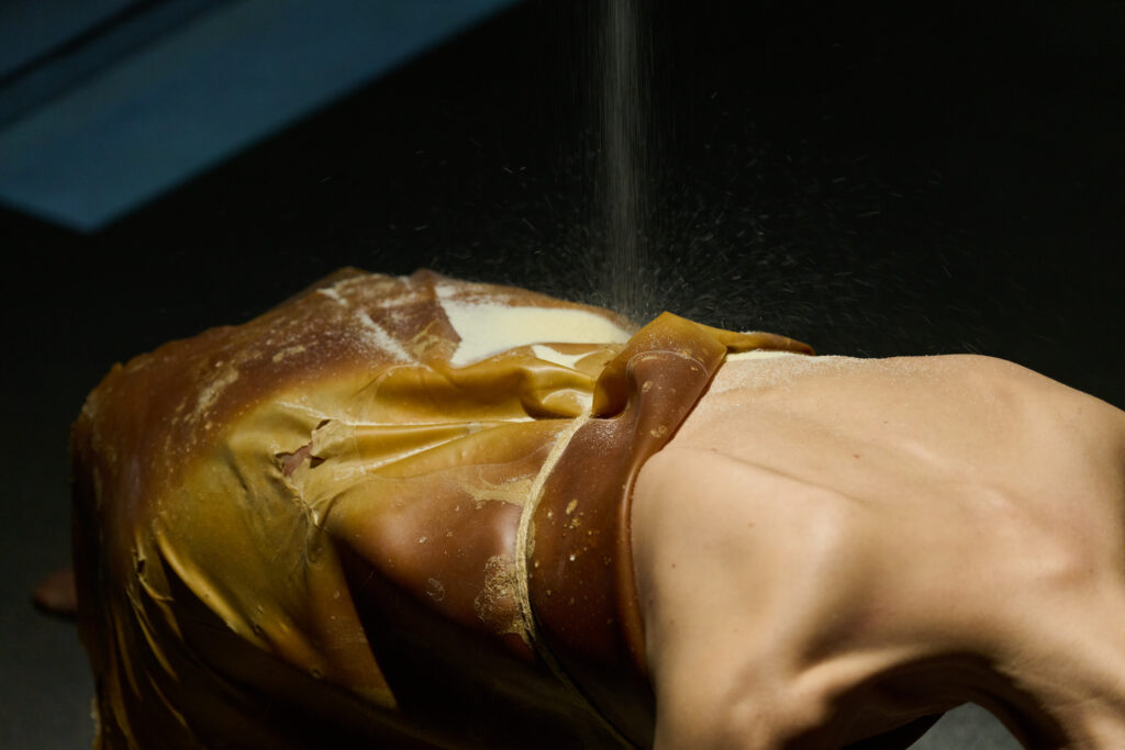 Opening Performance, Evocation of Absent Landscapes by Claudia Bosse, DAS WEISSE HAUS, 2026 – © Markus Gradwohl