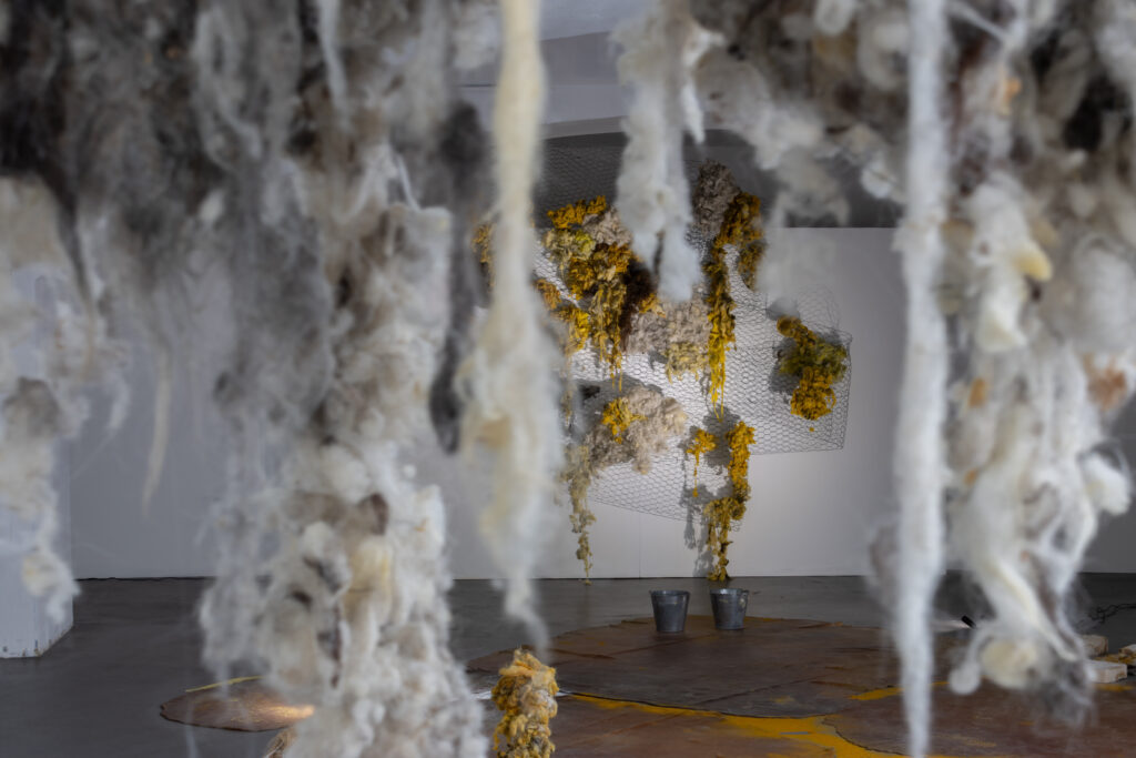 evocation of absent landscapes by claudia bosse, DAS WEISSE HAUS, 2026 – (c) lea-maraike sambale