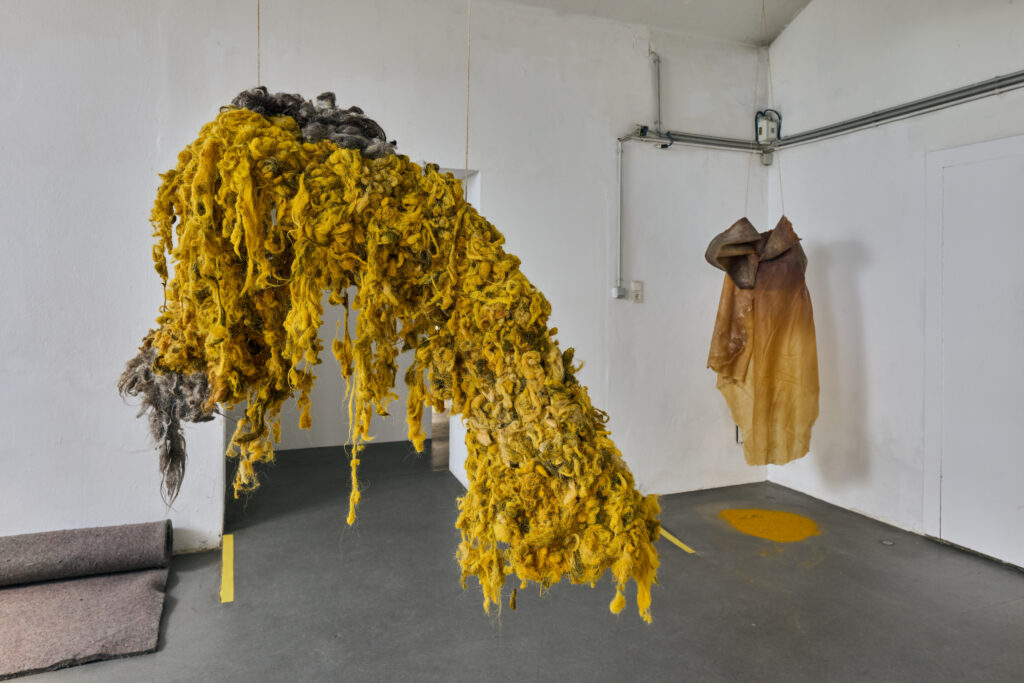evocation of absent landscapes by claudia bosse, DAS WEISSE HAUS, 2026 – © markus gradwohl