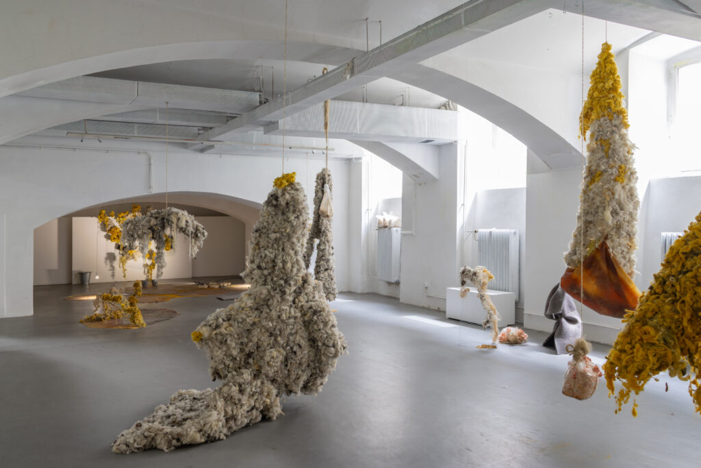 evocation of absent landscapes by claudia bosse, DAS WEISSE HAUS, 2026 – (c) lea-maraike sambale
