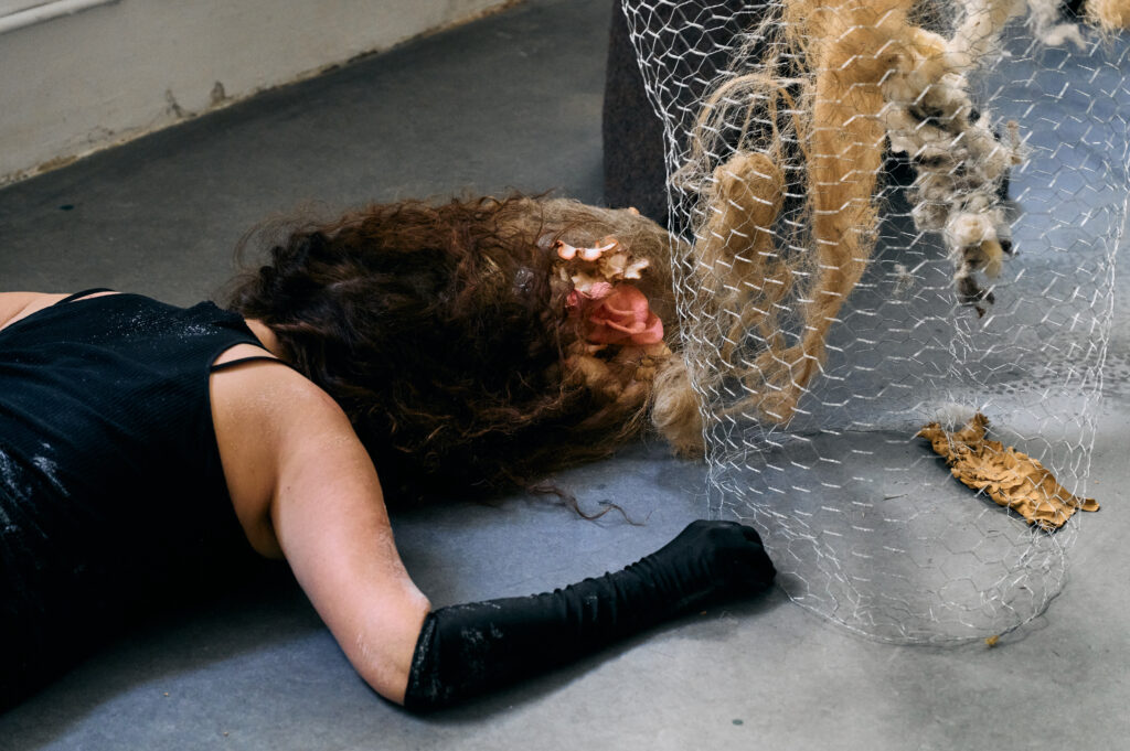 Closing Event,  Evocation of Absent Landscapes by Claudia Bosse, DAS WEISSE HAUS, 2026 – © Markus Gradwohl
