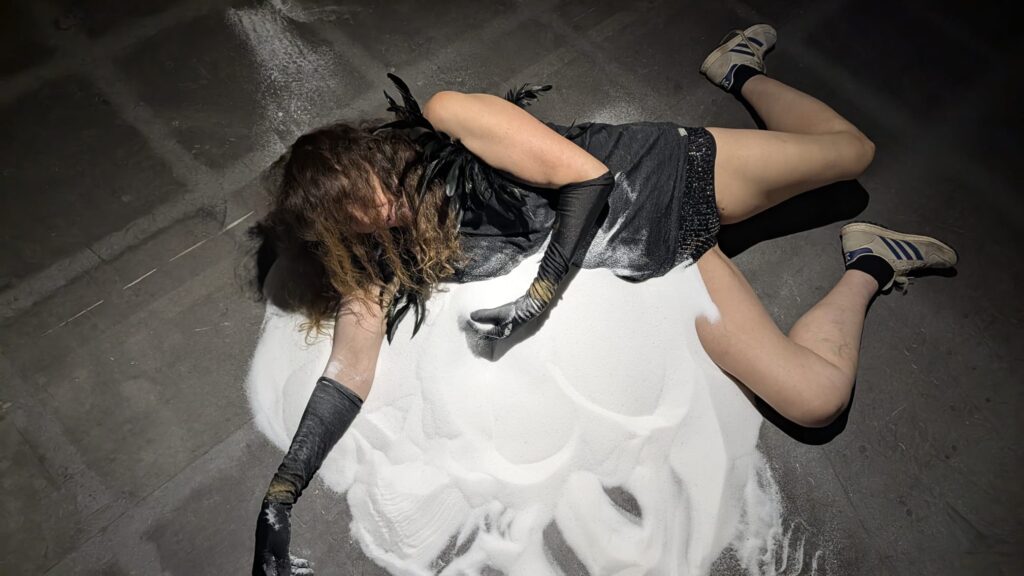 Performance Cracks in Landscapes by Claudia Bosse, DAS WEISSE HAUS, 2026 – foto © Günther Auer